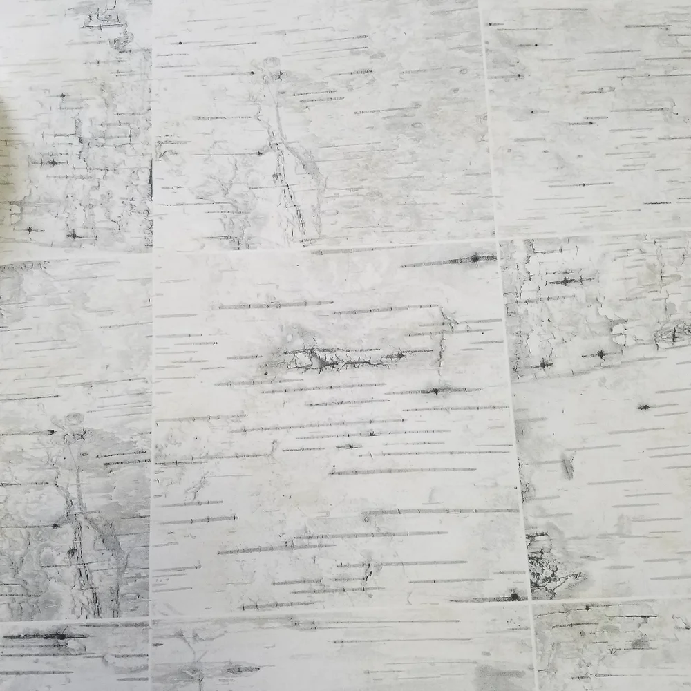 Wallpaper Border Birch Champlain Wood Grid